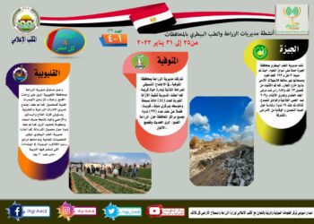 الزراعة في كل مصر