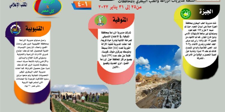 "الزراعة في كل مصر" العدد رقم ٢٦ حول أنشطة مديريات الزراعة والطب البيطري 1 الزراعة في كل مصر