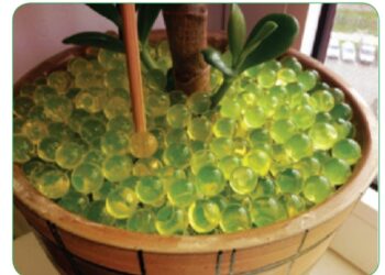 الجيل المائي