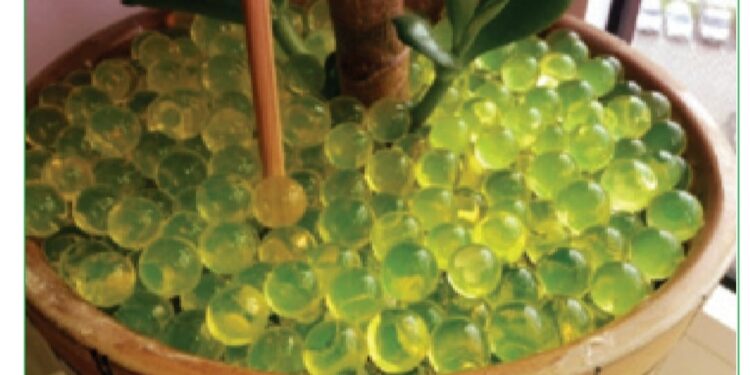 تعرف على كيفية استخدام الجيل المائي (الهيدروجيل) لتقليل كميات الرى 1 الجيل المائي