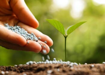 مركبات النحاس