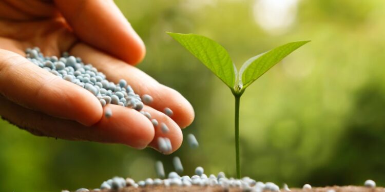 مركبات النحاس