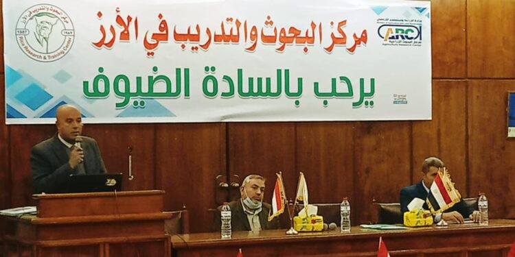 المحاصيل الحقلية ينظم ورشة عمل لتقييم الأصناف الجديدة لمحصول الأرز في محطة بحوث سخا 1 المحاصيل الحقلية