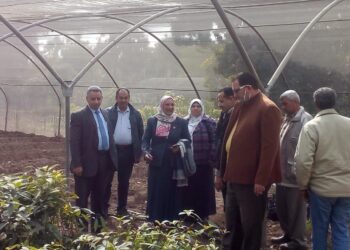 محطة بحوث البساتين