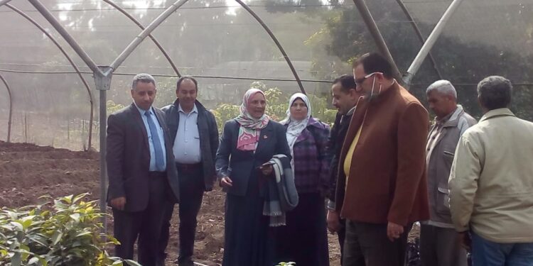 محطة بحوث البساتين