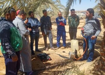 معمل بحوث النخيل ينظم يوم حقلي بالواحات البحرية