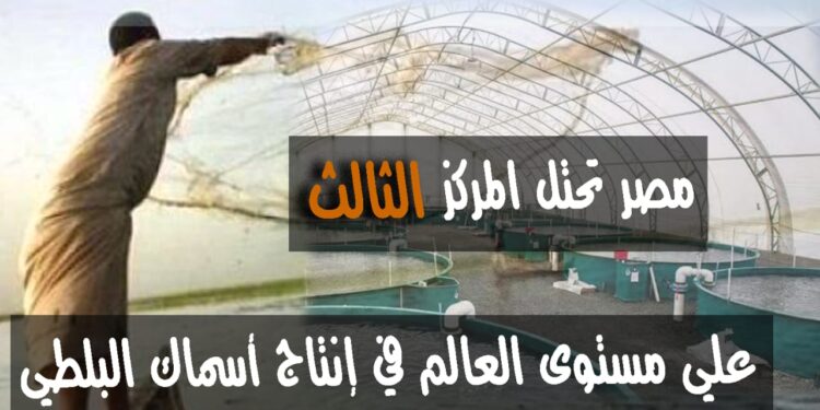 "أرقام في الزراعة" أهم الأرقام في إنتاج مصر السمكي 1 أرقام في الزراعة