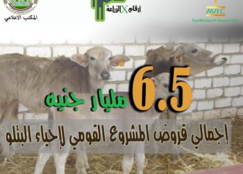 أرقام في الزراعة