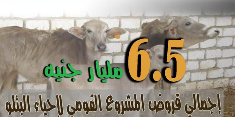 "أرقام في الزراعة" أهم الأرقام حول المشروع القومي لإعادة إحياء البتلو 1 أرقام في الزراعة