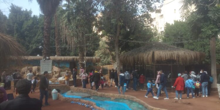 رجائي: إقبال كبير على حديقة الحيوان يتجاوز 70 ألف زائر يوميا 1 حديقة الحيوان