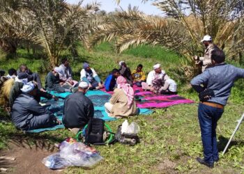 المعمل المركزي للنخيل