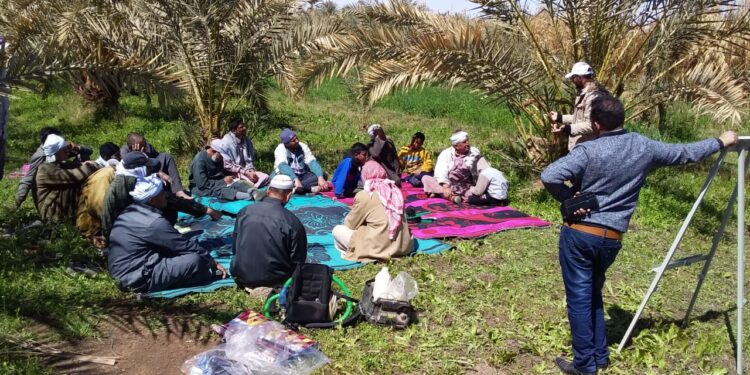 المعمل المركزي للنخيل ينظم مدرسة حقلية بمنطقة الغرغور بمدينة الداخلة 1 المعمل المركزي للنخيل