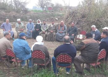 المحاصيل الشتوية