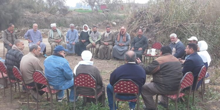 الزراعة: تنفيذ 80 مدرسة حقلية لـ"المحاصيل الشتوية" في 16 محافظة خلال النصف الأول من فبراير 1 المحاصيل الشتوية