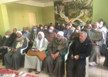 ذبابة الفاكهة