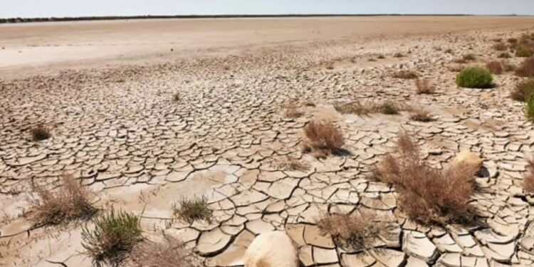 قطاع الإرشاد الزراعي يرصد أسباب مشكلة التصحر 1 أسباب مشكلة التصحر
