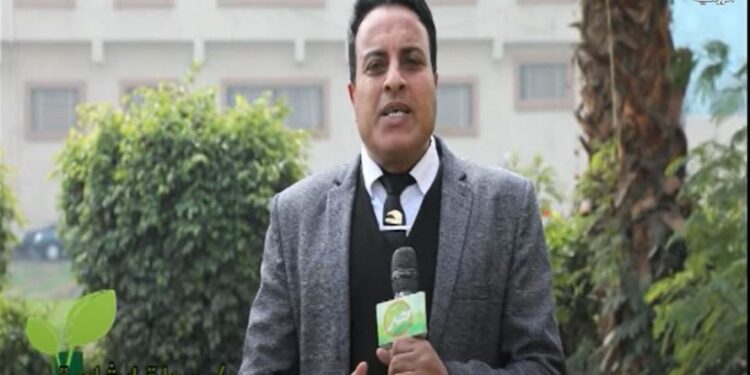 أعفان الجذور