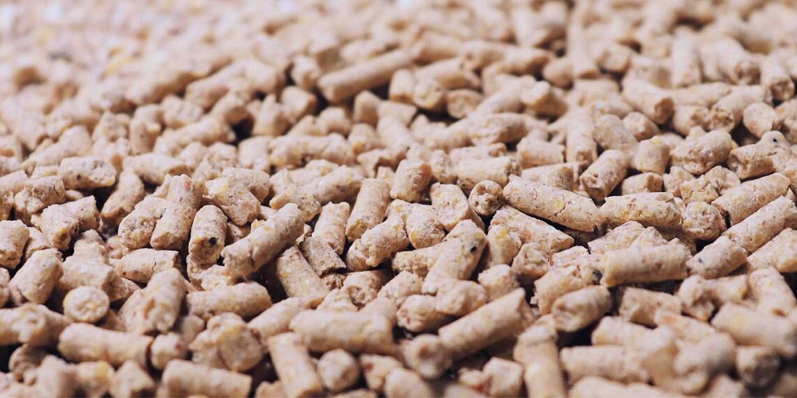 علائق الأبقار و الجاموس