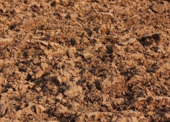 إنتاجية وخصوبة الأرض