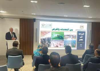 الاستثمار الزراعي