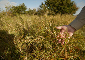 التغيرات المناخية