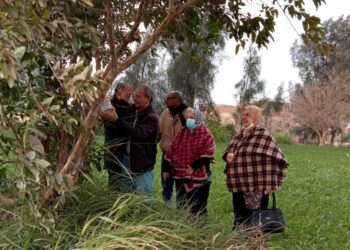 إدارة المكافحة