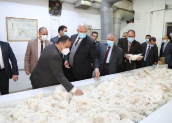 معهد بحوث القطن