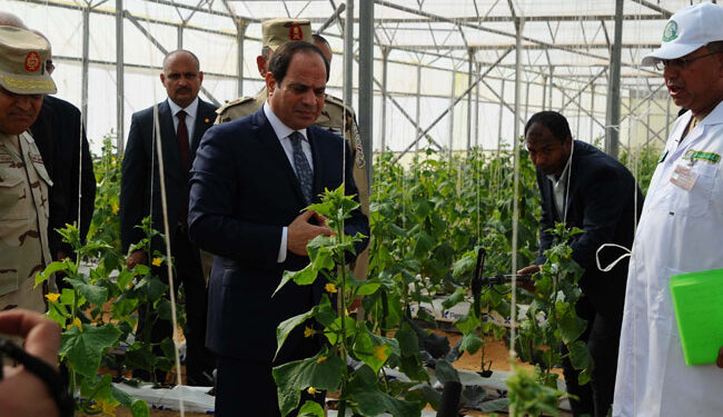 التنمية الزراعية.. معناها وسبل تحقيقها 1 التنمية الزراعية