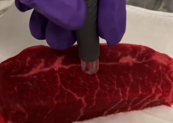 اللحوم المغشوشة