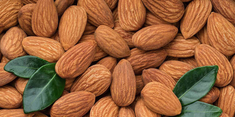 اللوز .. إليك أهم أصنافه وطرق تربيته وفوائد تناوله 1 اللوز