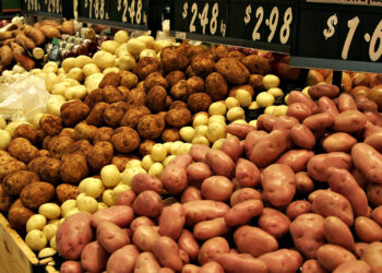 بطاطس خالية من العيوب