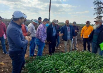 محطة بحوث سخا