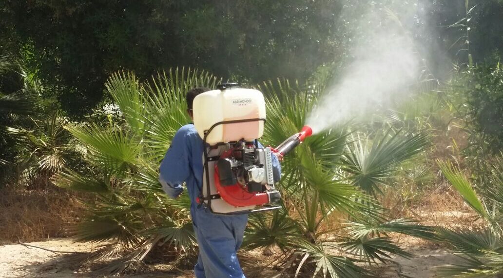 خلط المبيد الفطري والحشري.. مدى صحتها وشروط بداية خطة المكافحة 1 خلط المبيد الفطري والحشري