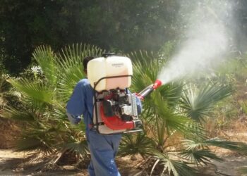 خلط المبيد الفطري والحشري