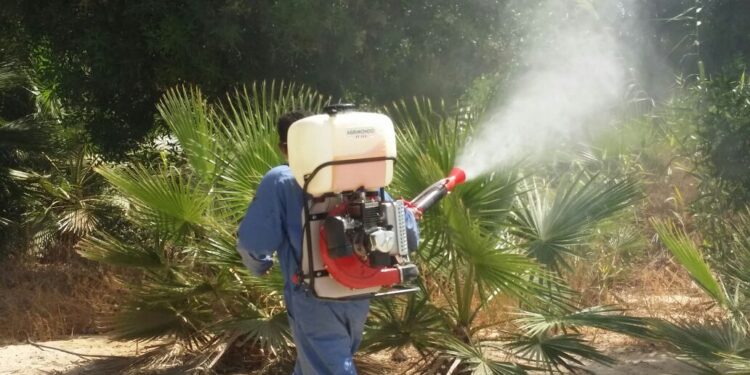 خلط المبيد الفطري والحشري.. مدى صحتها وشروط بداية خطة المكافحة 1 خلط المبيد الفطري والحشري