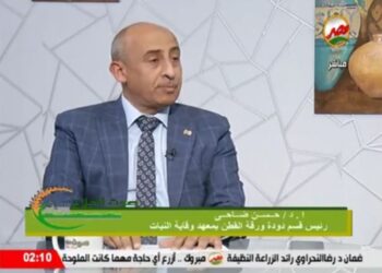 دودة الحشد الخريفية