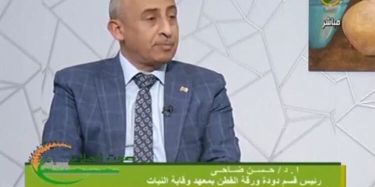 دودة الحشد الخريفية.. الأطوار العمرية وطرق المكافحة السليمة 1 دودة الحشد الخريفية