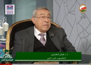 نباتات الزينة