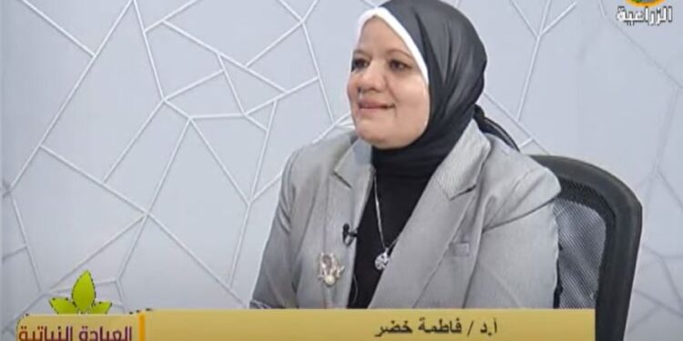 القواقع.. أسباب الانتشار وطرق المكافحة 1 القواقع