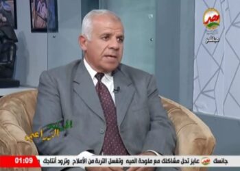 البرسيم الحجازي