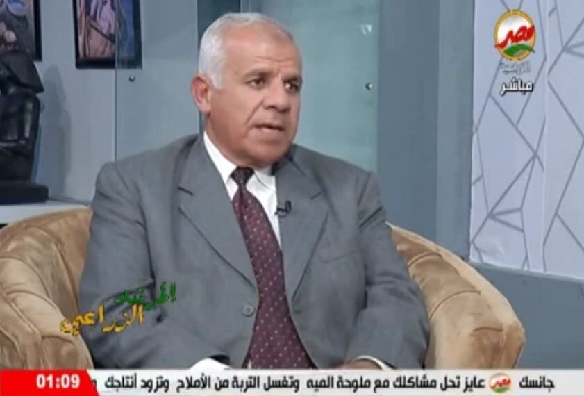 البرسيم الحجازي