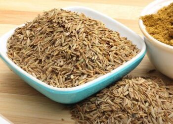 فوائد الكمون