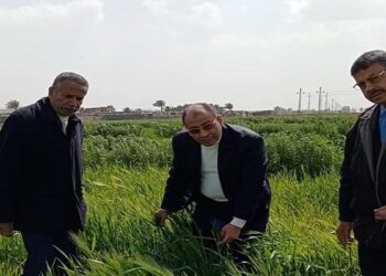 مديرية زراعة بورسعيد