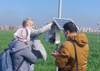 محطة بحوث سخا