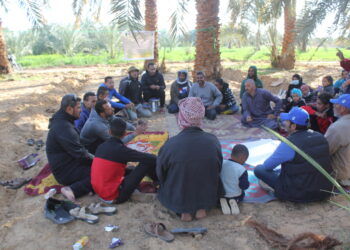 الإرشاد الزراعي