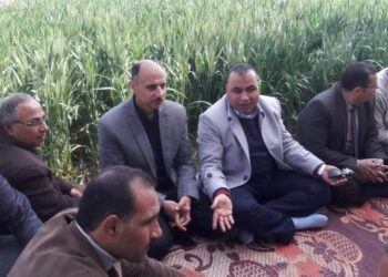 مدرسة حقلية