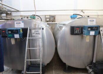 مراكز تجميع الألبان