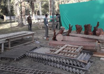 معرض زهور الربيع