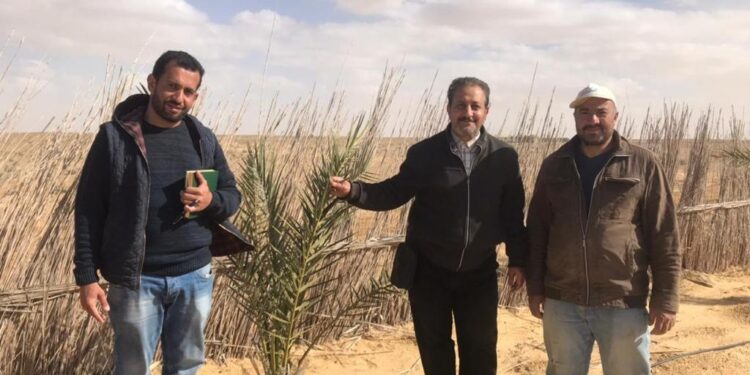 معمل بحوث النخيل ينظم مدرسة حقلية بمنطقة المغرة وغرب المنيا 1 مدرسة حقلية