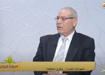 مكافحة القوارض